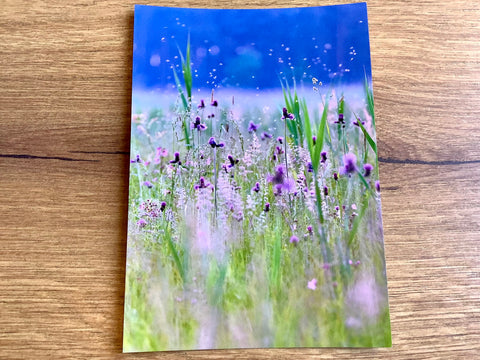 Postkarte Wiesengräser (art+nature)