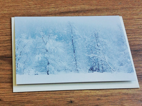 Briefkarte Winterwald (art+nature)